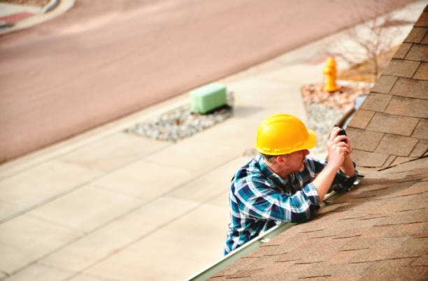 Roof Gutter Cleaning in Webb City, MO