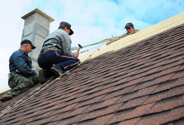 Best Roof Gutter Cleaning  in Webb City, MO